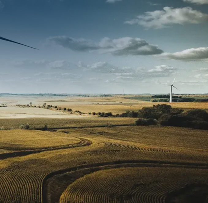 Na farmach wiatrowych korzystają tylko inwestorzy.